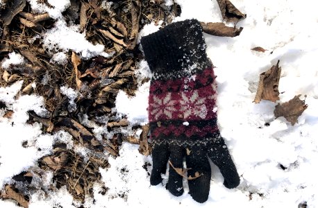 Lost / Found
