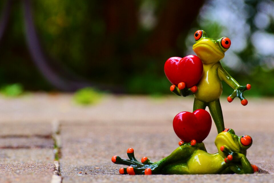 Valentine's day pose heart