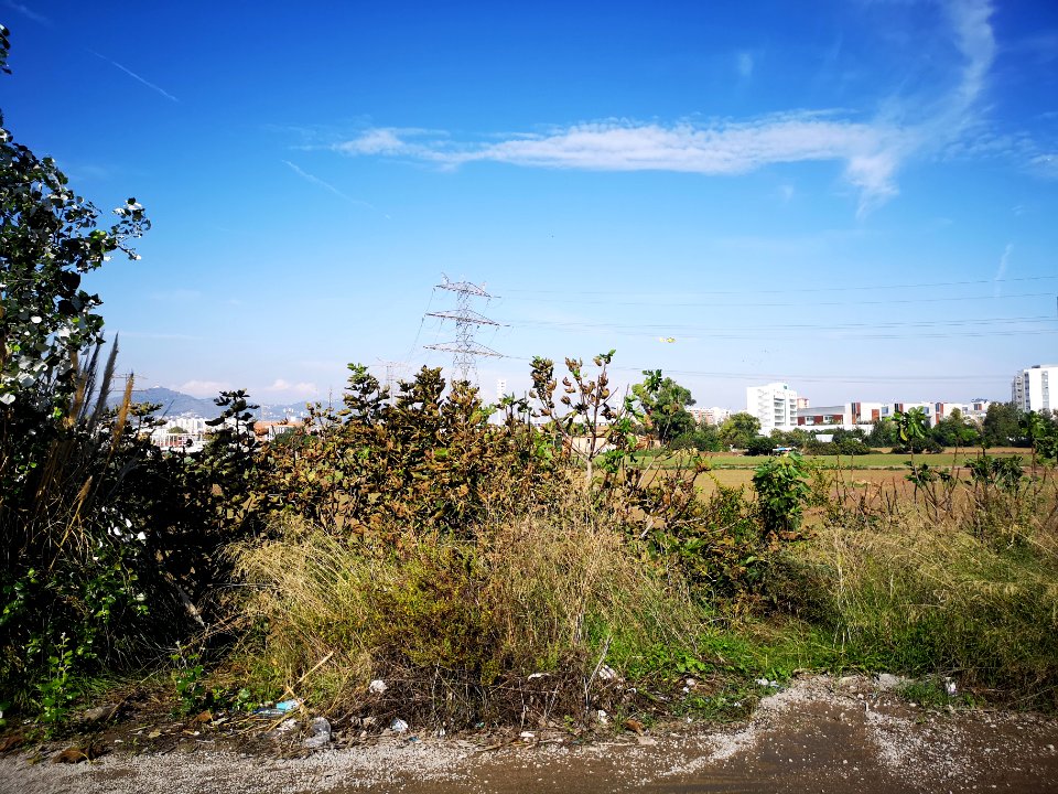 IMG 20181020 152518