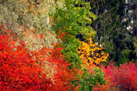 Fall palette photo