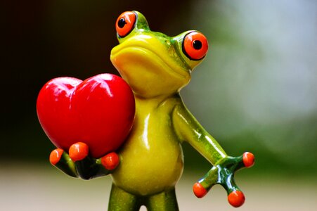 Heart funny frog