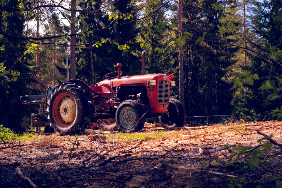 Massey Ferguson 35