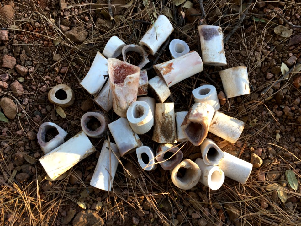 Dog [Bone] Pile