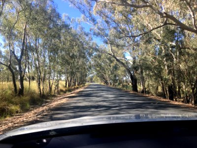 The Back Roads to Wagga