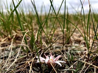 2020/366/134 One Prairie