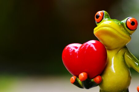 Heart funny frog