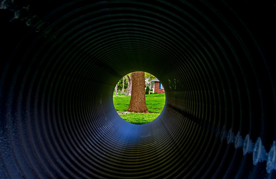 Is it safe to come out yet?