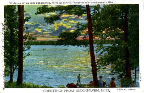 Midsummer on Lake Tangipahoa, Percy Quin Park, Miss photo