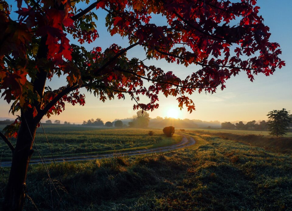Fall foliage sunset
