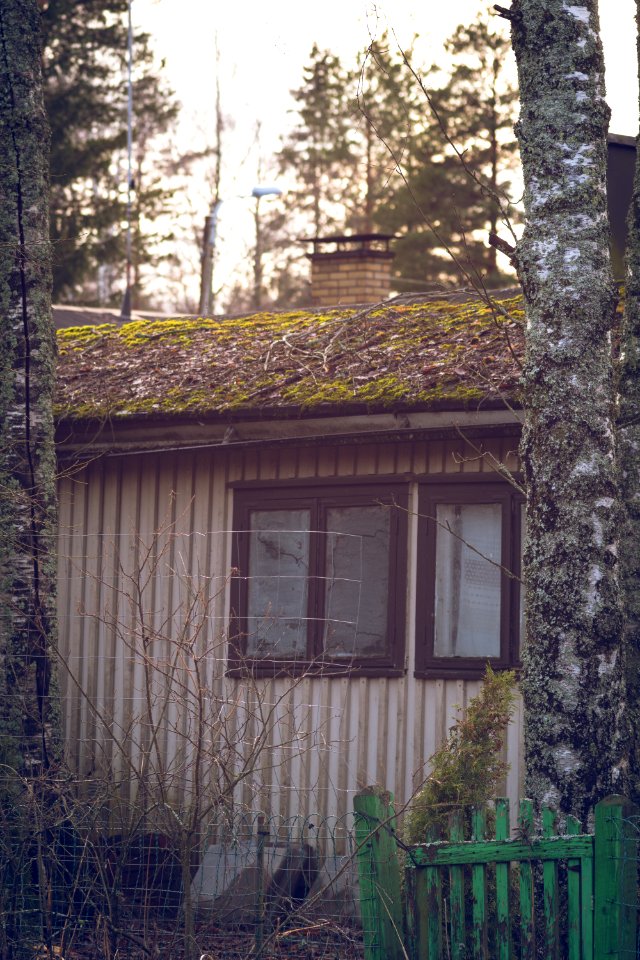 Moss covered building