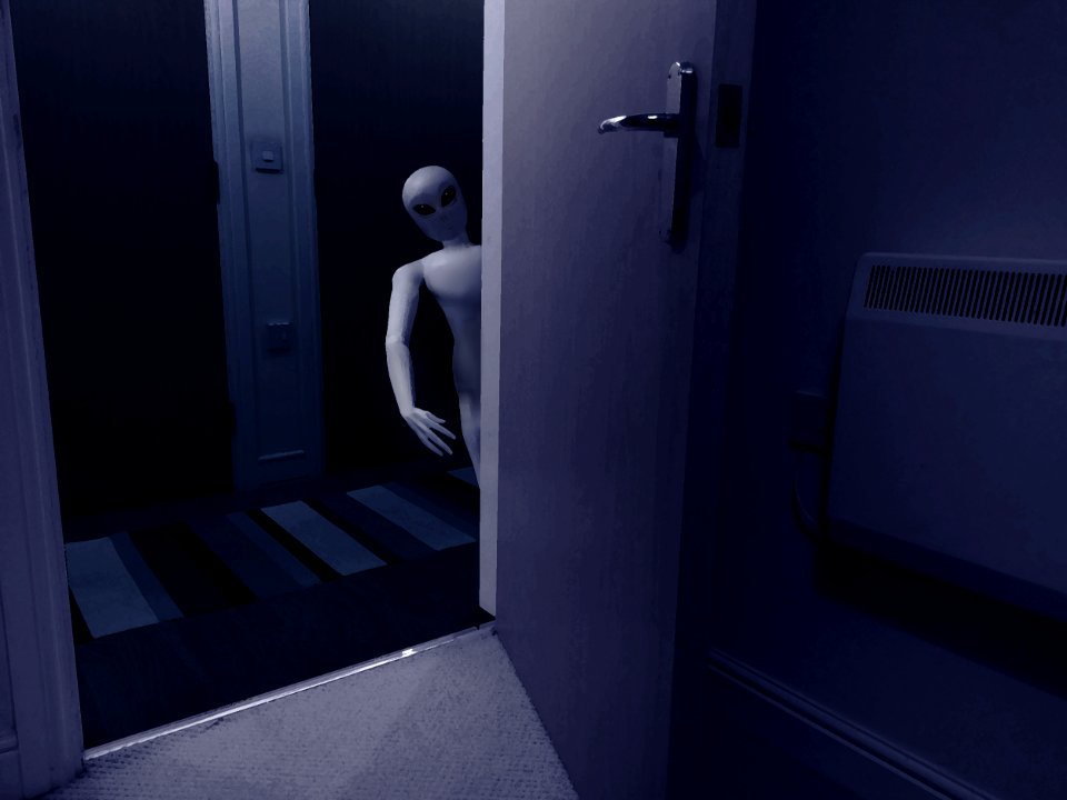 A Visitor in the Night
