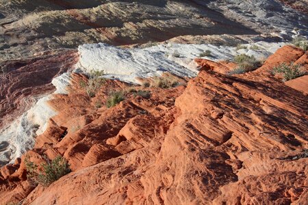 Usa nevada valley of fire photo