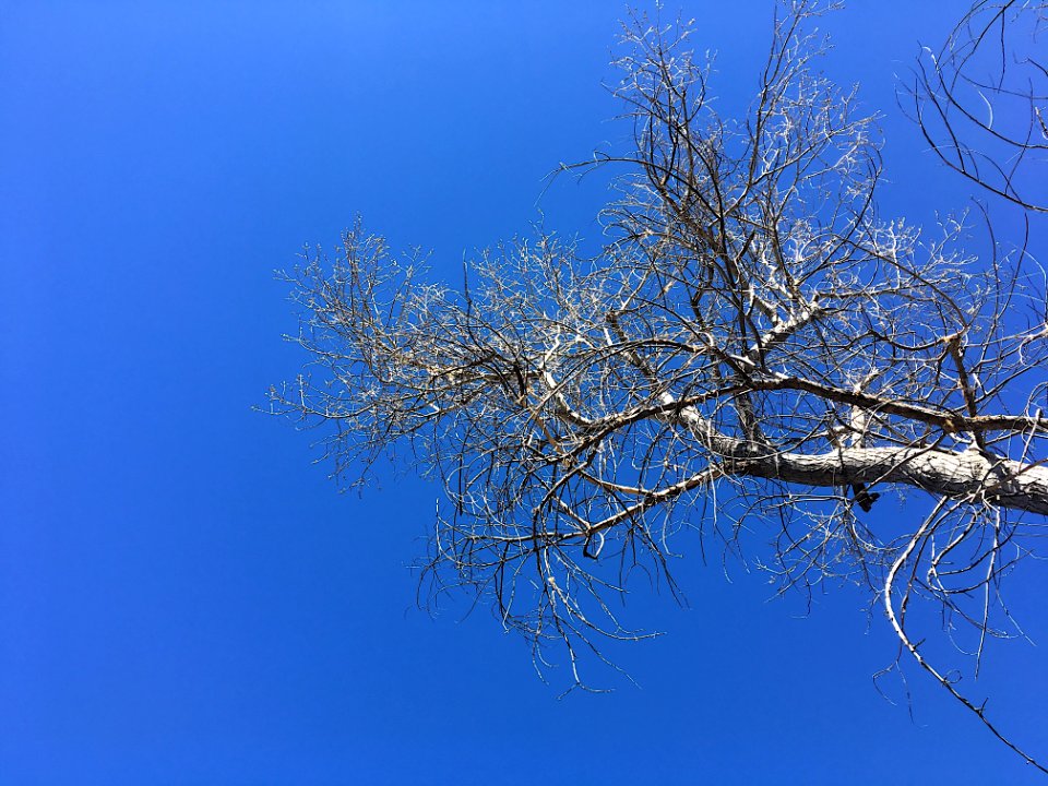 Reach into the Infinite Sky