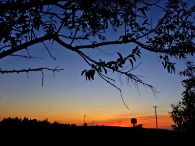 Through the Edge of Day