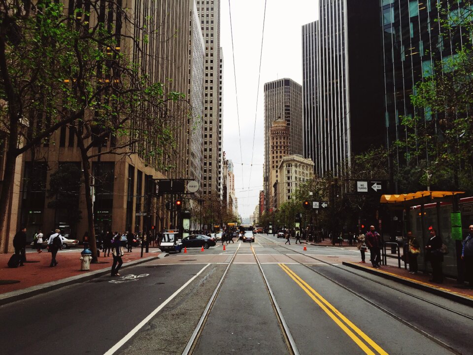Road rials tracks