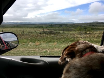 Studying Wyoming