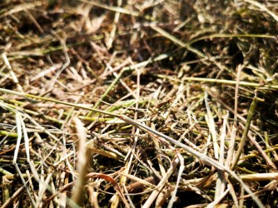 IMG 20181020 124432 1