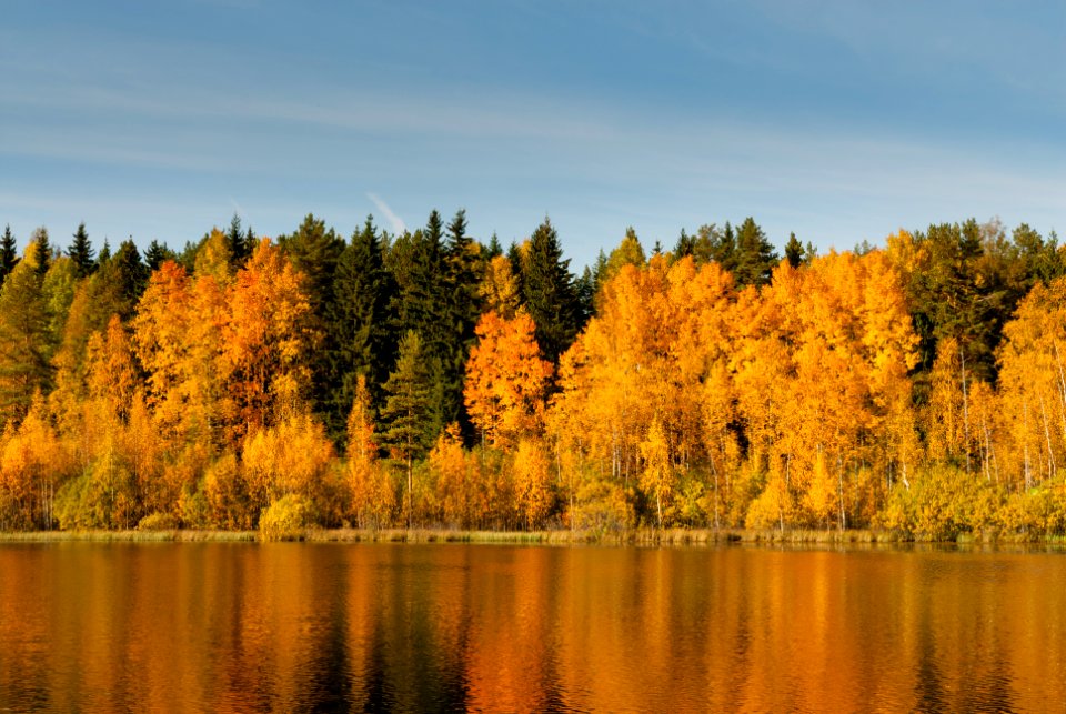 Vähäjärvi autumn 2008