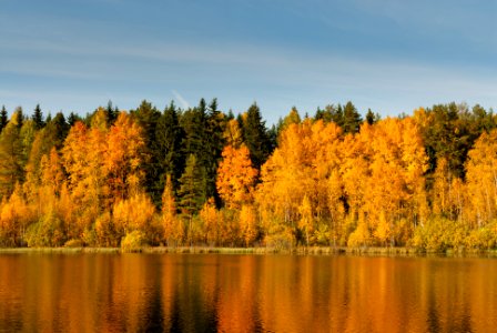 Vähäjärvi autumn 2008