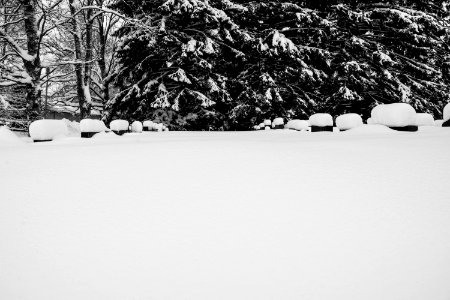 Ylöjärvi cemetary. photo