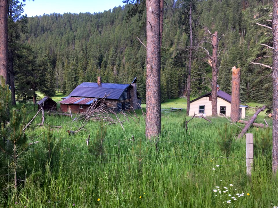 Life in the Black Hills