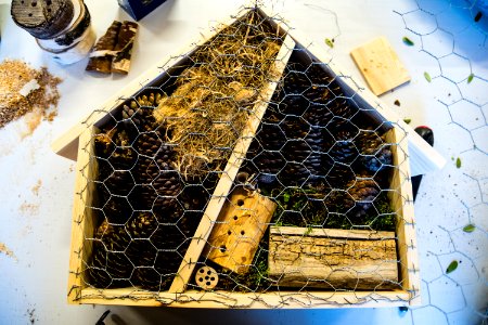 Bug hotel.