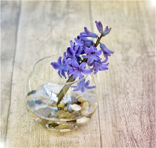 Vase decorative glass stones photo