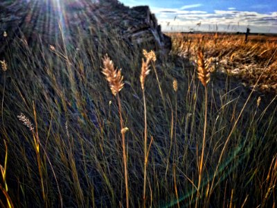 Arcs of Light