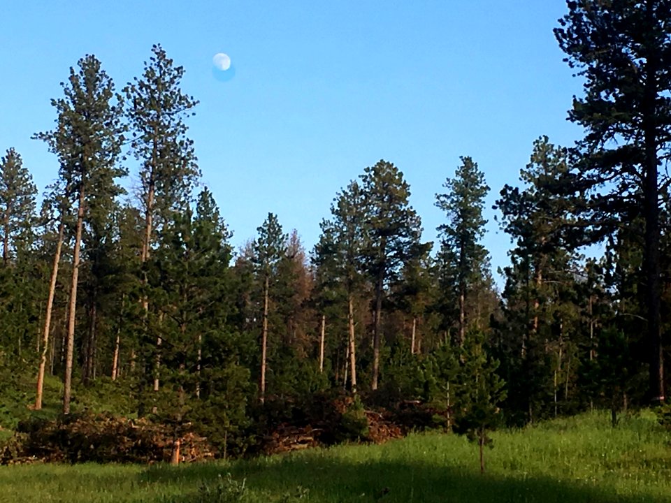 Moon Over Black Hills