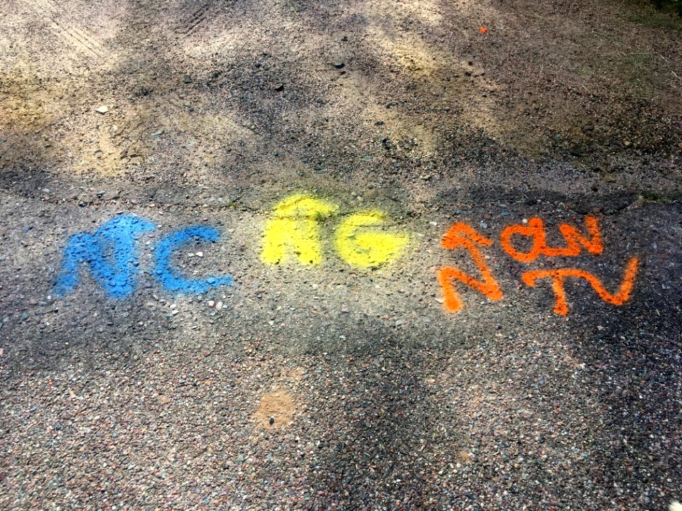The NC NG NTV License