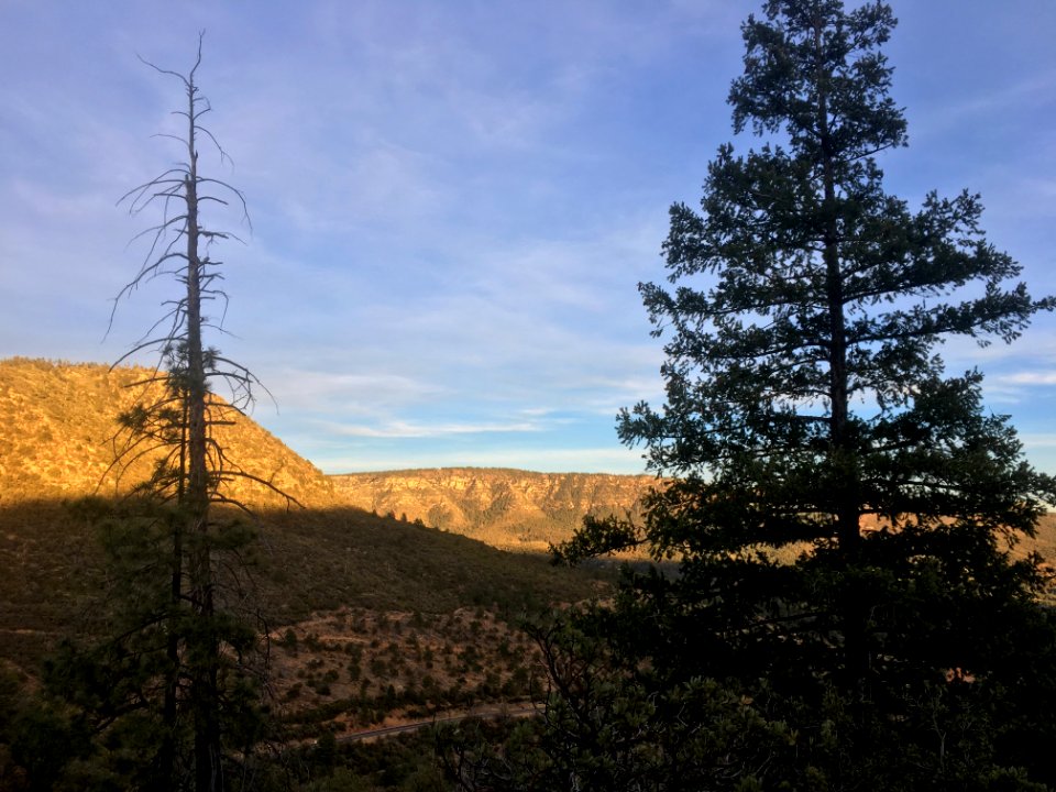 Late Light on the Mogollon Rim