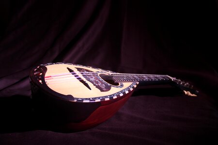 Mandolin jean string music photo