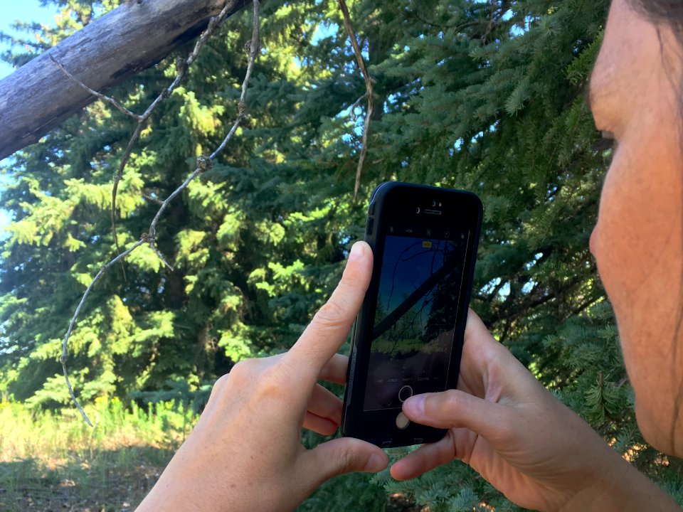 Photo of a Photo Being Taken