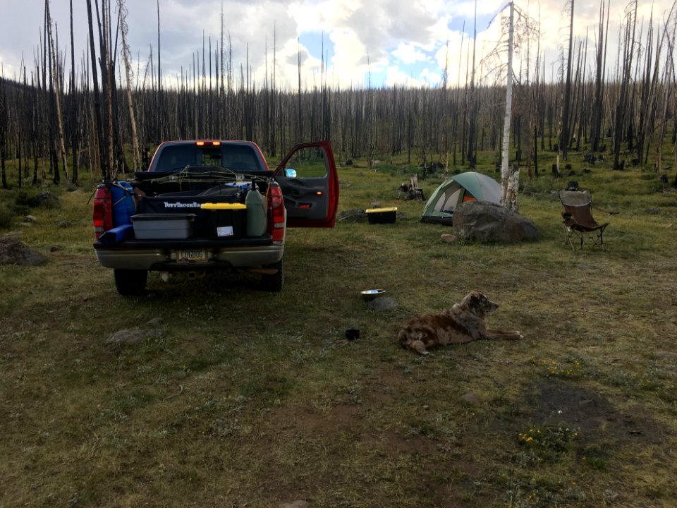 It's Good to be Camping