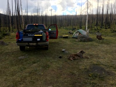 It's Good to be Camping