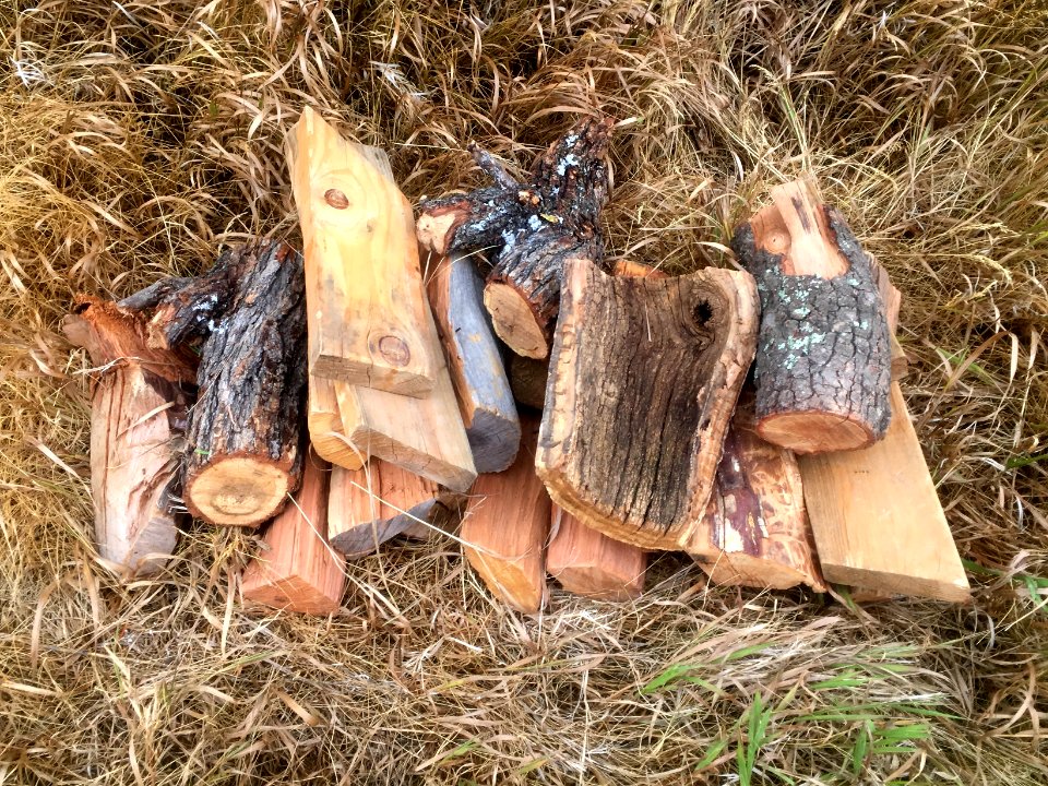 Had to Ditch Good Arizona Firewood