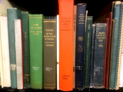 The Snake Section in the Library
