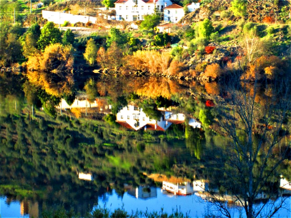 ALONG THE TAGUS RIVER-PORTUGAL.....