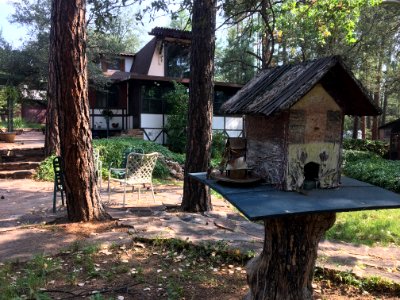 There's a Little Birdhouse in Front of the Birdhouse in Front of the House
