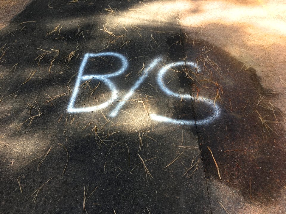 The Shadow of Big BS