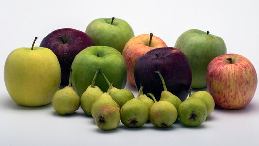 Pears colorful fruits photo