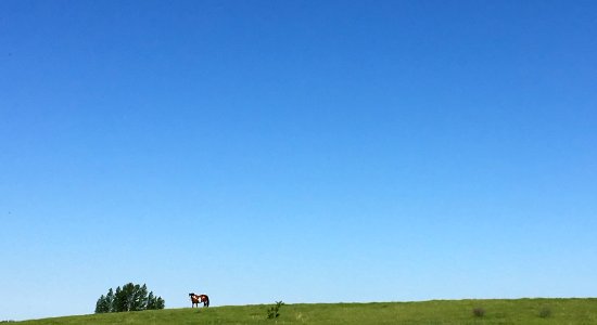 One Horse Hill