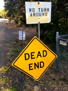 Signs, Signs, Everywhere Sings