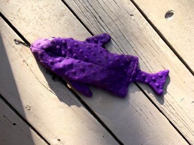 Wet Fish