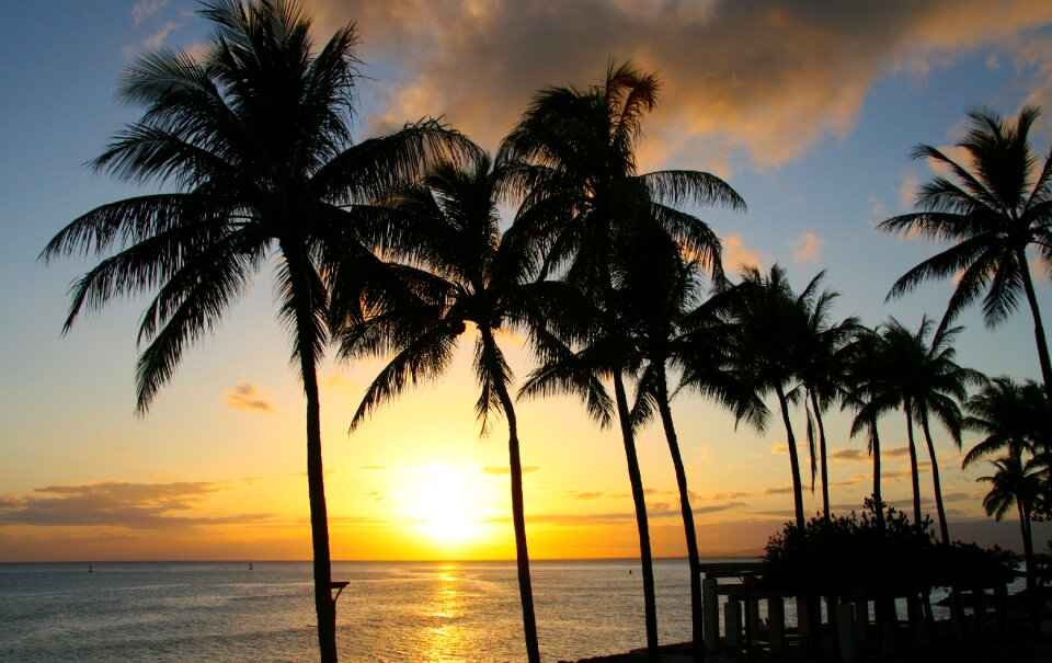 Paradise honolulu hawaii