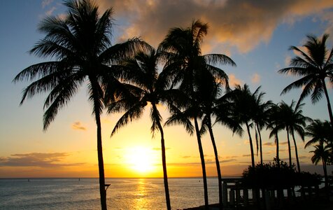 Paradise honolulu hawaii photo