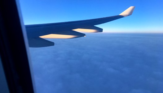 Horizon Check
