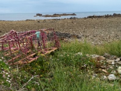 Bord de mer