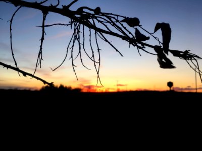 Hanging Over the Horizon photo