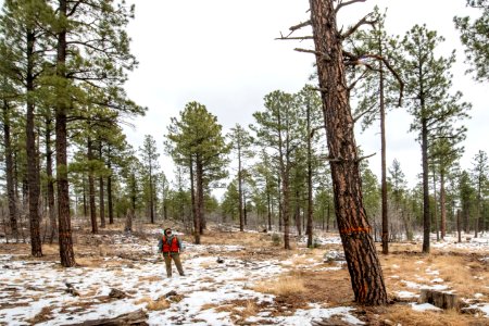 20181206-FS-APACHE-SITGREAVES-LSC-1041